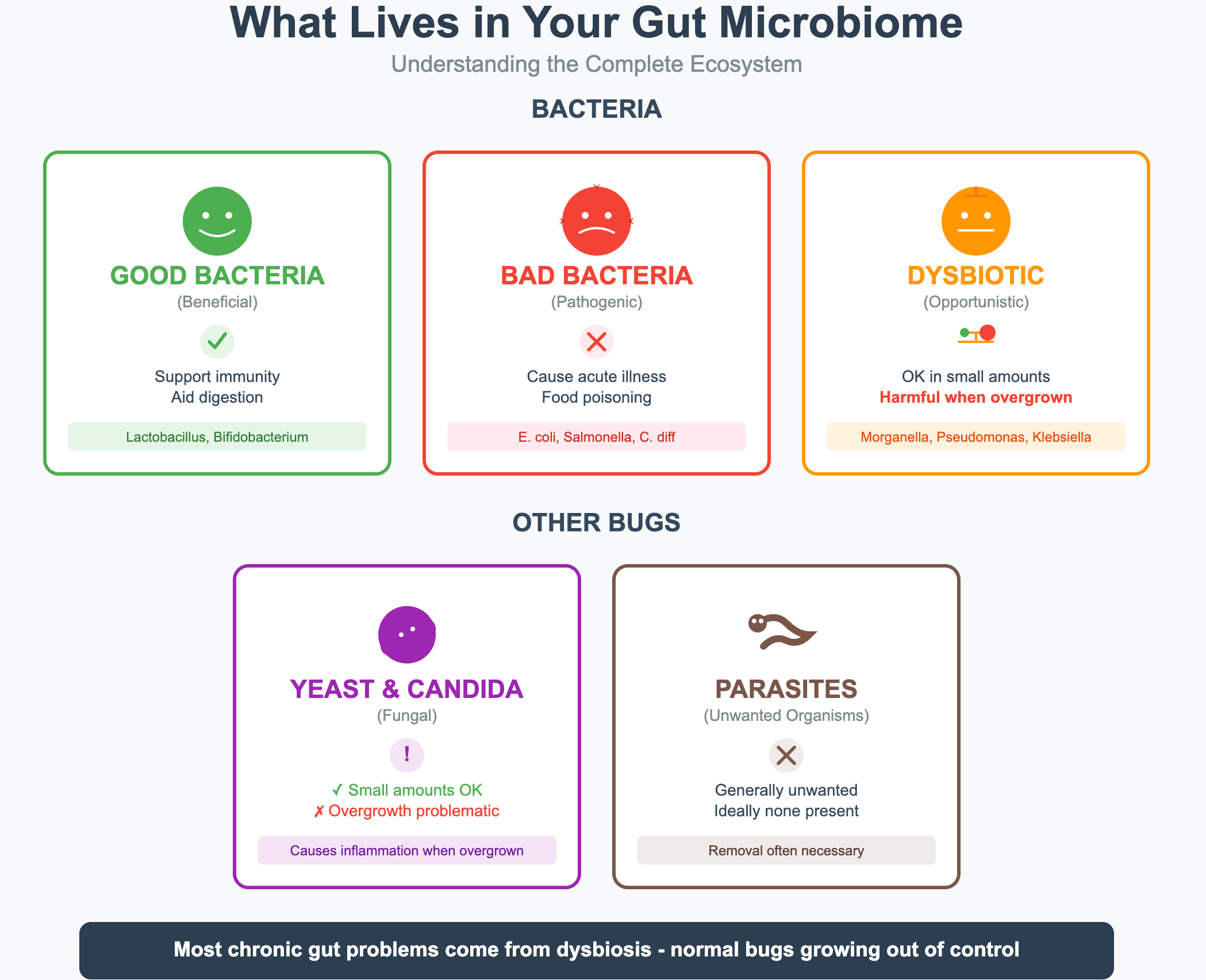 Educational infographic titled 'What Lives in Your Gut Microbiome: Understanding the Complete Ecosystem.' The content is divided into two main sections: BACTERIA section with three categories:  GOOD BACTERIA (Beneficial) - Green box with smiley face, checkmark indicating they support immunity and aid digestion. Examples: Lactobacillus, Bifidobacterium. BAD BACTERIA (Pathogenic) - Red box with sad face, X mark indicating they cause acute illness and food poisoning. Examples: E. coli, Salmonella, C. diff. DYSBIOTIC (Opportunistic) - Orange box with neutral face, balance scale icon indicating they're OK in small amounts but harmful when overgrown. Examples: Morganella, Pseudomonas, Klebsiella.  OTHER BUGS section with two categories:  YEAST & CANDIDA (Fungal) - Purple box with exclamation mark, noting small amounts are OK but overgrowth is problematic, causes inflammation when overgrown. PARASITES (Unwanted Organisms) - Gray box with X mark, indicating they're generally unwanted and ideally none should be present, removal often necessary.  Bottom message in dark gray box: 'Most chronic gut problems come from dysbiosis - normal bugs growing out of control' with a warning icon. Source: guthealthdrs.com for desktop