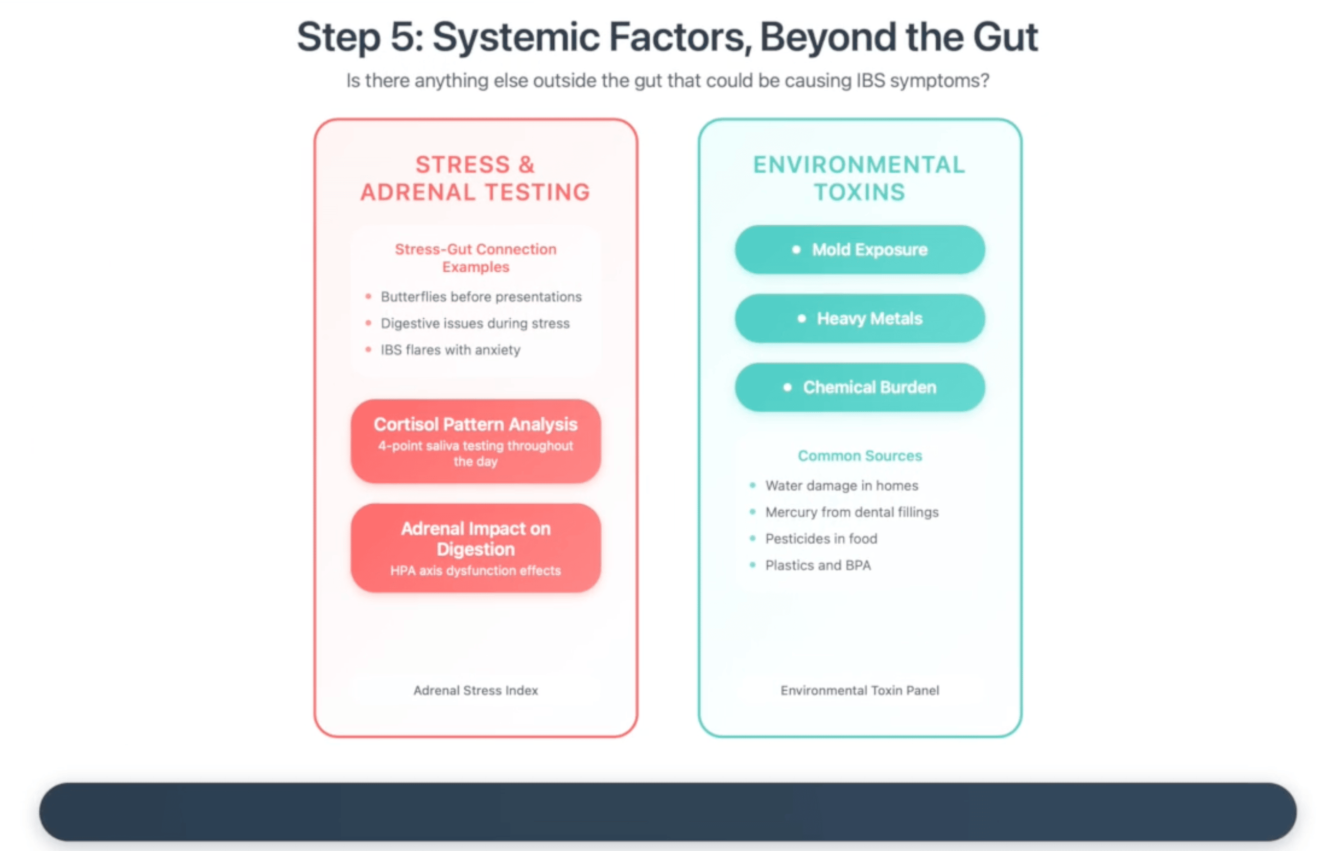 Systemic factors affecting IBS including stress and adrenal testing, cortisol pattern analysis, and environmental toxin screening for comprehensive gut health assessment