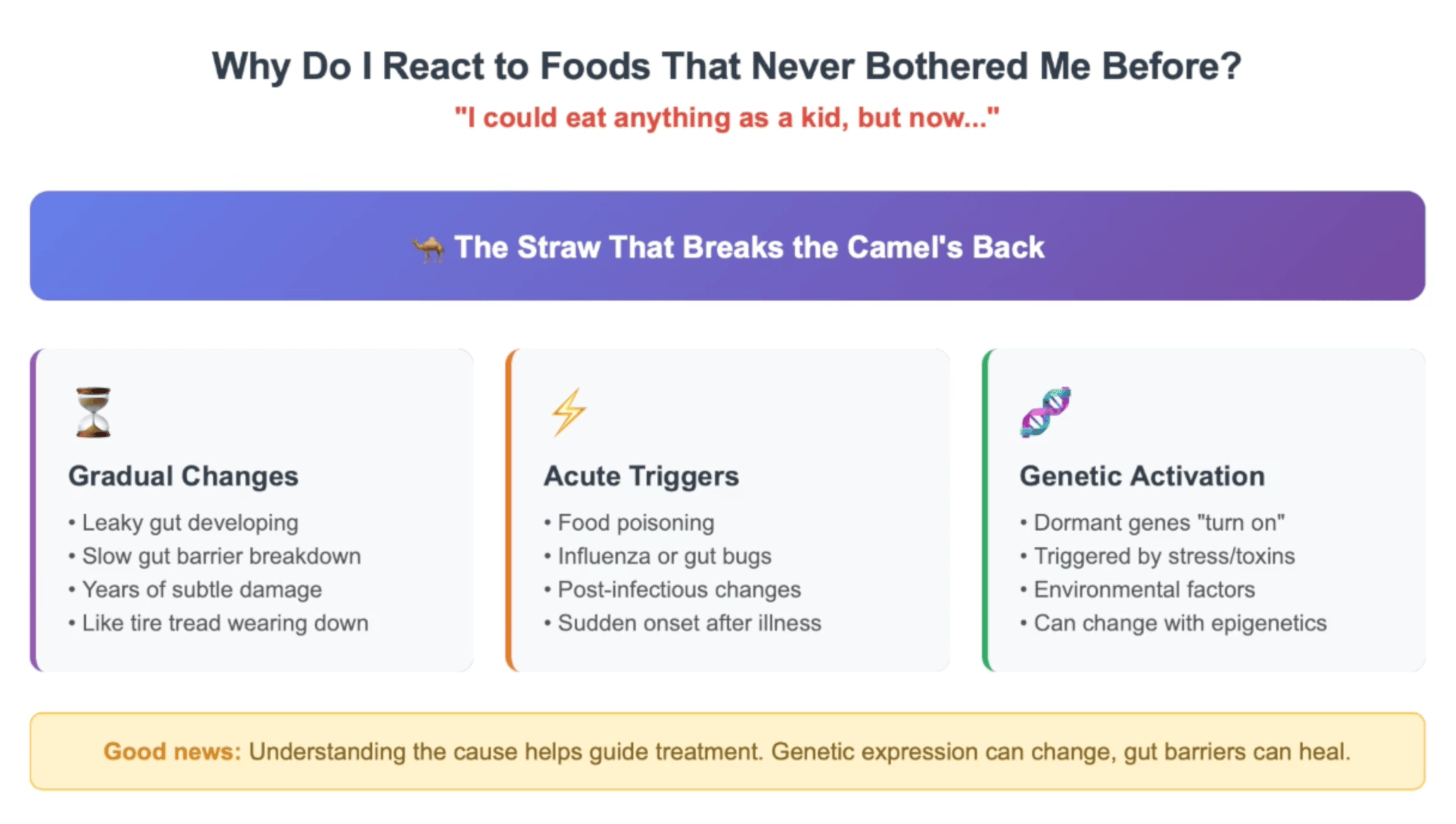 Desktop infographic explaining why adults develop new food reactions through three pathways - gradual changes including leaky gut and barrier breakdown, acute triggers from food poisoning or infections, and genetic activation from dormant genes triggered by stress or toxins - educational diagram showing the straw that breaks the camel's back concept with treatment guidance