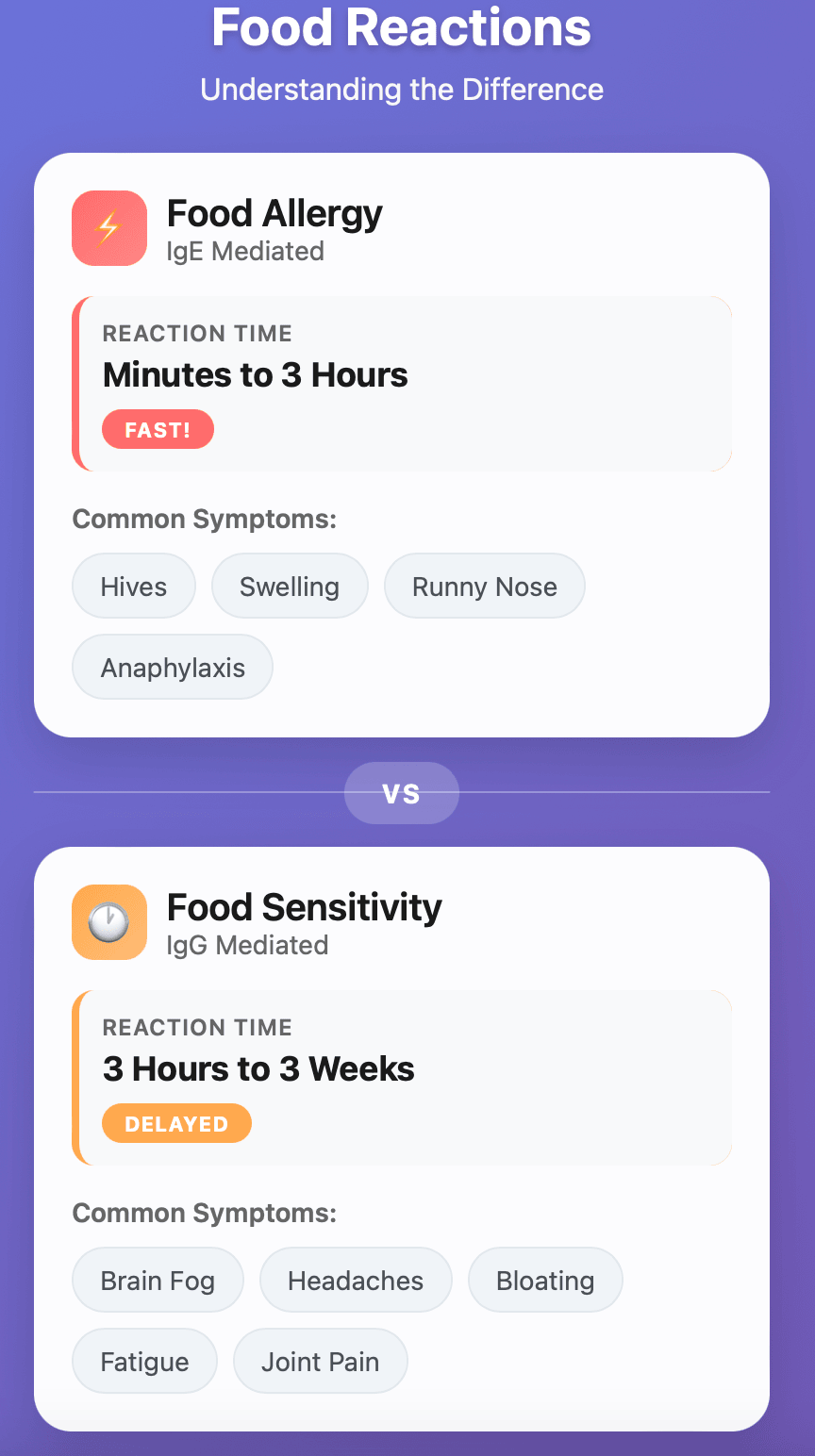 Mobile iPhone interface comparing IgE food allergies vs IgG food sensitivities, displaying fast allergic reactions within minutes to 3 hours causing hives, swelling, and anaphylaxis versus delayed sensitivity reactions from 3 hours to 3 weeks causing brain fog, headaches, bloating, fatigue, and joint pain - responsive health infographic for iOS devices